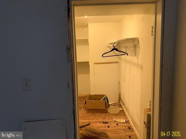 walk in closet featuring wood finished floors