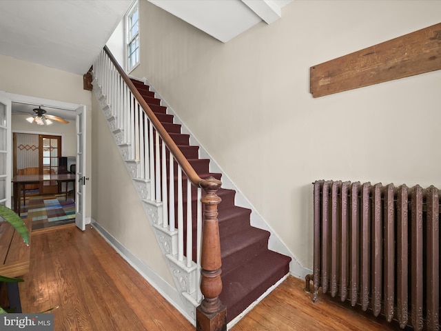 113 Ingleside Ave, Baltimore, MD 21228 - staircase with radiator heating unit, wood finished floors, ceiling fan, and baseboards