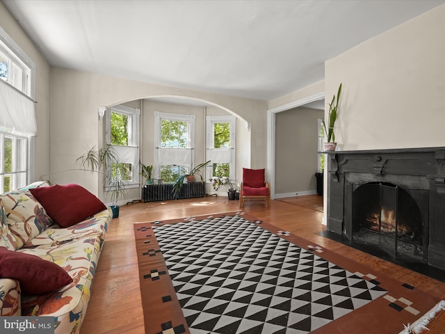 113 Ingleside Ave, Baltimore, MD 21228 - living room with wood-type flooring, a fireplace with flush hearth, and arched walkways