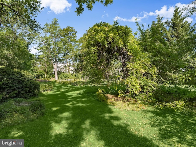 113 Ingleside Ave, Baltimore, MD 21228 - view of green lawn