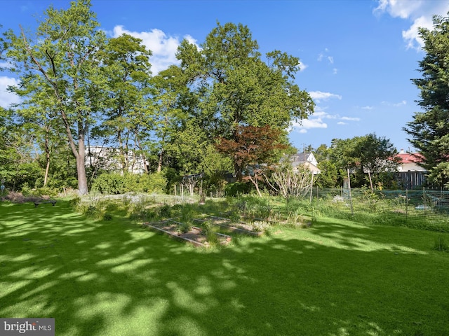 113 Ingleside Ave, Baltimore, MD 21228 - view of yard