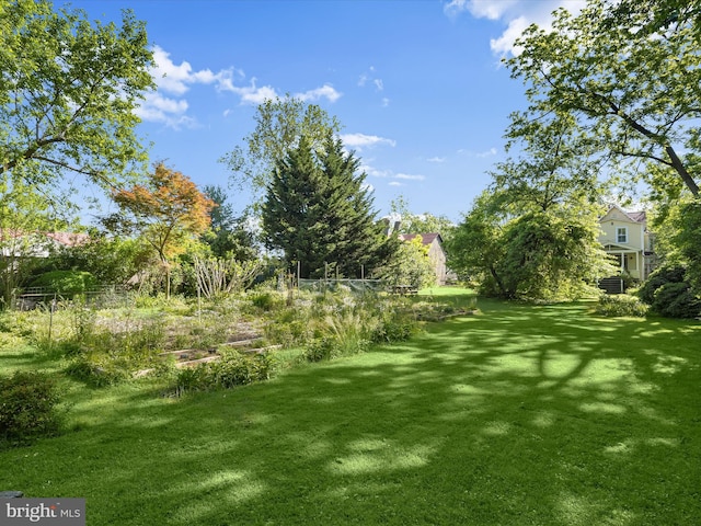 113 Ingleside Ave, Baltimore, MD 21228 - view of grassy yard
