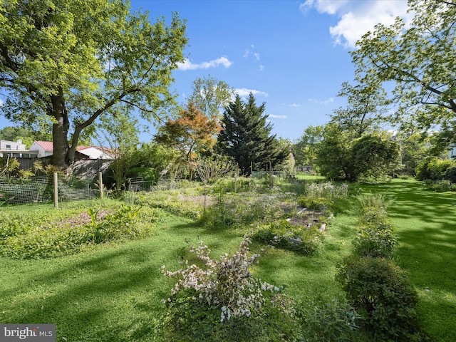 113 Ingleside Ave, Baltimore, MD 21228 - view of yard featuring fence