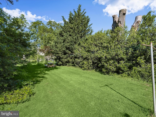 113 Ingleside Ave, Baltimore, MD 21228 - view of grassy yard