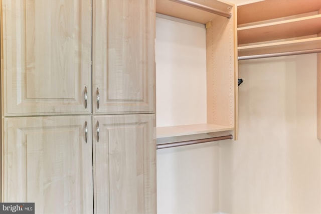 view of closet
