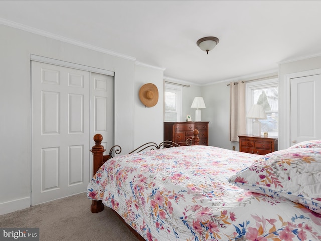 bedroom with carpet, a closet, ornamental molding, and multiple windows