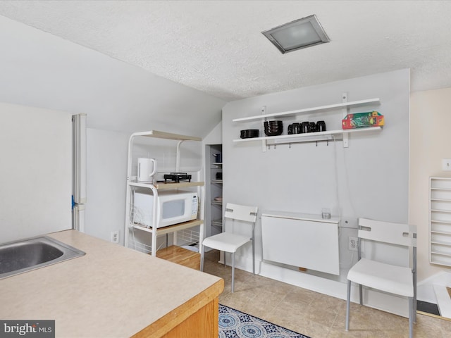 interior space with vaulted ceiling, a textured ceiling, and a sink