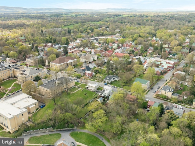 aerial view