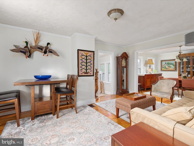living area featuring light wood-style flooring, a textured ceiling, crown molding, and baseboards