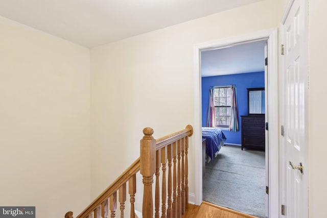 9 Stratton Ct, Robbinsville, NJ 08691 - hallway with baseboards, an upstairs landing, and light wood-style floors