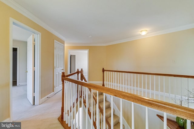 1005 Chaff Way, La Plata, MD 20646 - hall featuring baseboards, ornamental molding, light carpet, and an upstairs landing