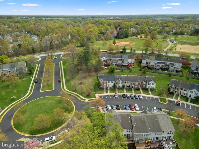 aerial view