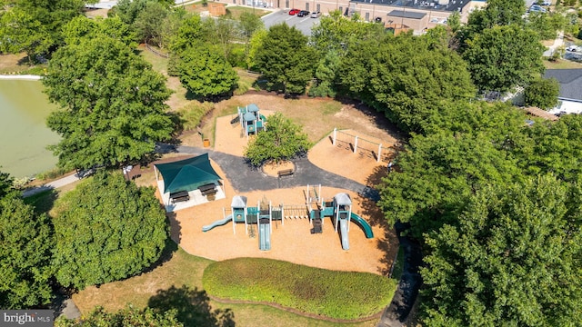 drone / aerial view