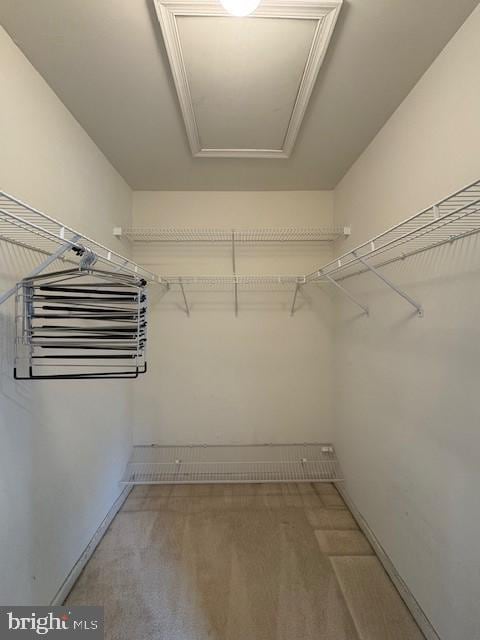spacious closet featuring light carpet