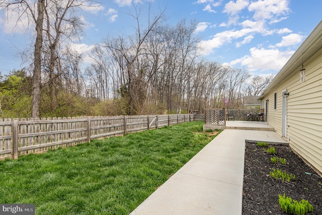 view of yard featuring a fenced backyard and a patio area