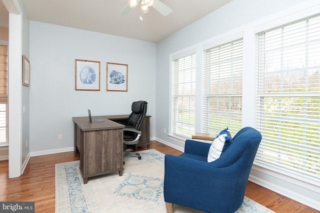 office area featuring ceiling fan, baseboards, and wood finished floors