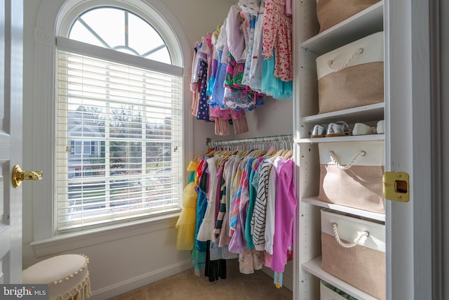 walk in closet with carpet floors