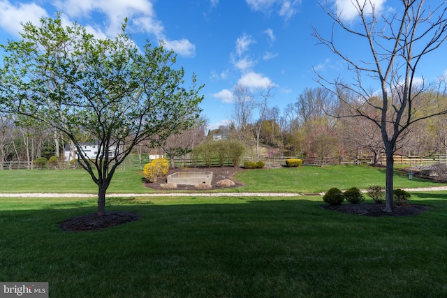 view of yard