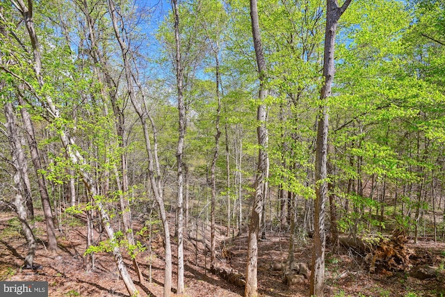 1223 Summerwood Ct, Arnold, MD 21012 - view of landscape with a wooded view