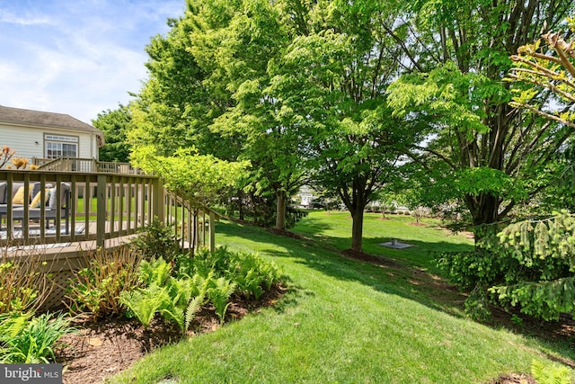 view of yard featuring a deck