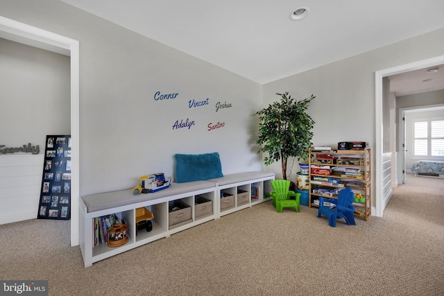 recreation room with carpet