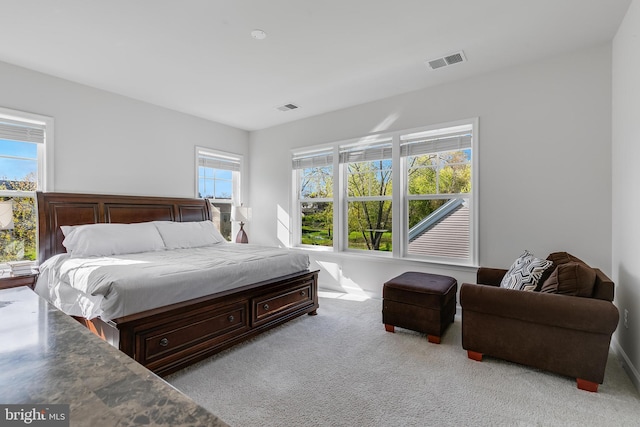 625 E G St, Purcellville, VA 20132 - bedroom featuring light carpet, visible vents, and baseboards