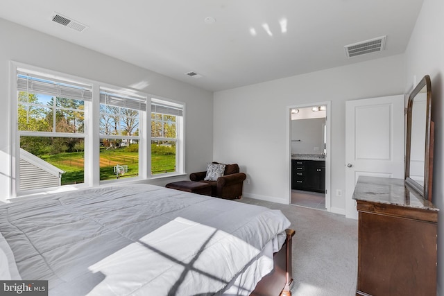 625 E G St, Purcellville, VA 20132 - bedroom featuring light colored carpet, multiple windows, and visible vents
