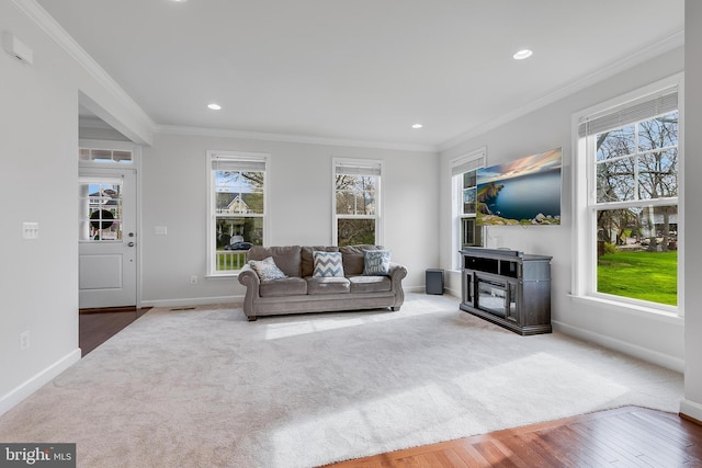 625 E G St, Purcellville, VA 20132 - carpeted living area with baseboards, ornamental molding, wood finished floors, and recessed lighting