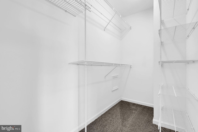 2475 Lakeside Dr, Frederick, MD 21702 - spacious closet with dark carpet