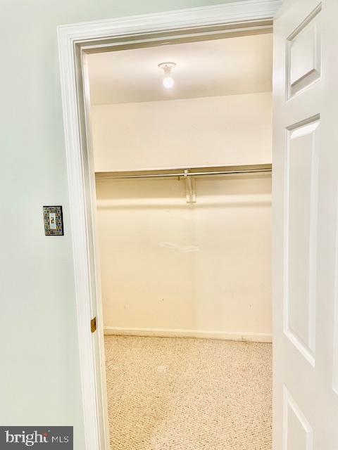 walk in closet featuring carpet flooring