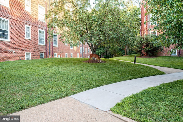view of home's community featuring a yard