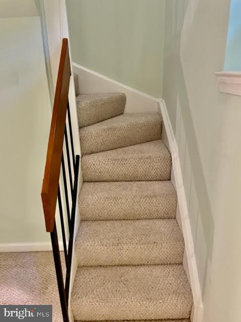 stairs with carpet flooring