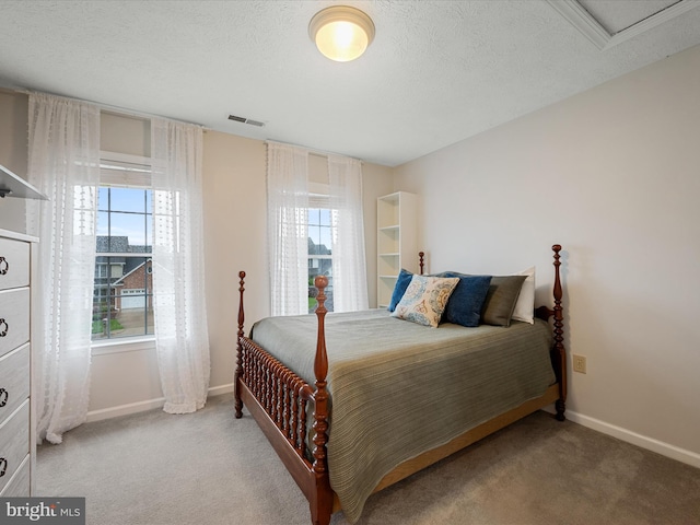 311 Clydesdale Dr, Stephens City, VA 22655 - bedroom with multiple windows, baseboards, carpet, and a textured ceiling