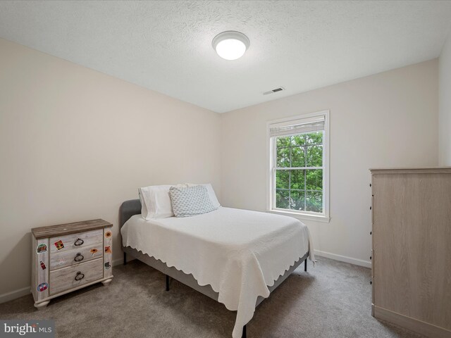 311 Clydesdale Dr, Stephens City, VA 22655 - bedroom with carpet and baseboards