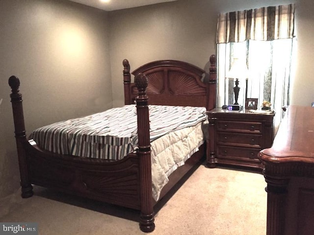 bedroom with carpet flooring