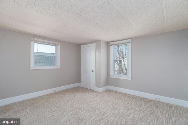 basement featuring baseboards, carpet floors, a paneled ceiling, and plenty of natural light