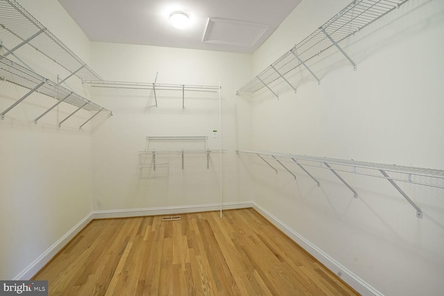 walk in closet with light wood-type flooring and attic access