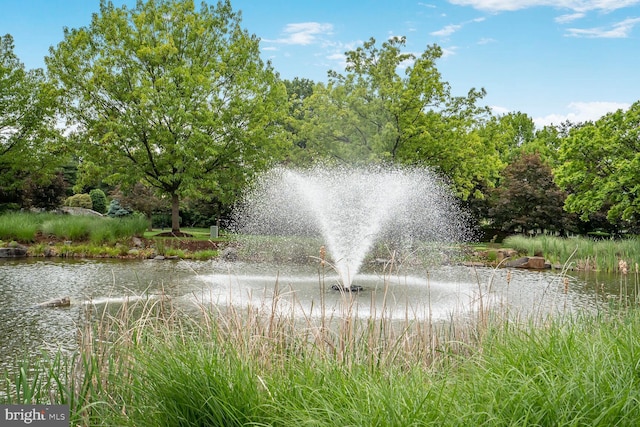 view of property's community with a water view