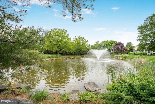 water view