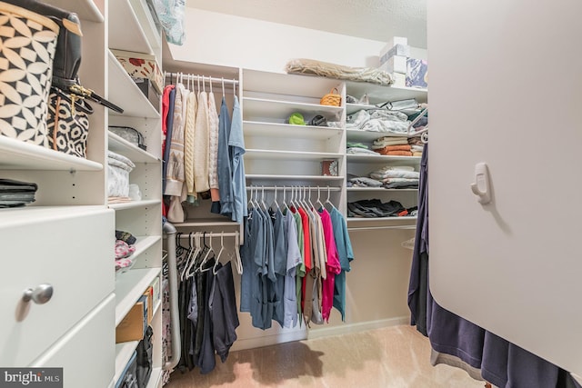 view of spacious closet
