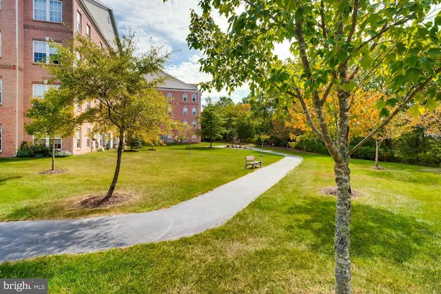 view of property's community with a yard