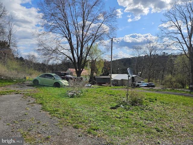 view of yard