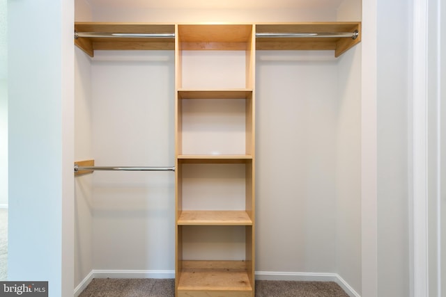 view of closet