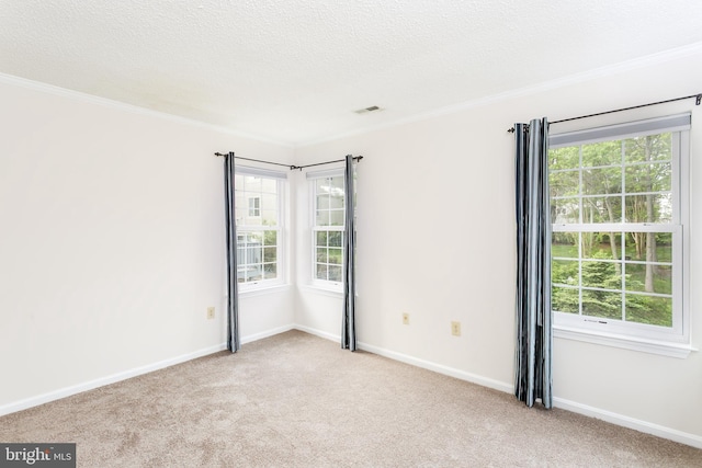spare room with crown molding, baseboards, and carpet