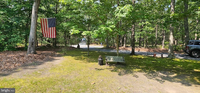 12 Deborah Dr, Millville, NJ 08332 - view of yard