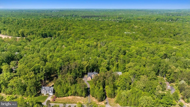 bird's eye view with a view of trees