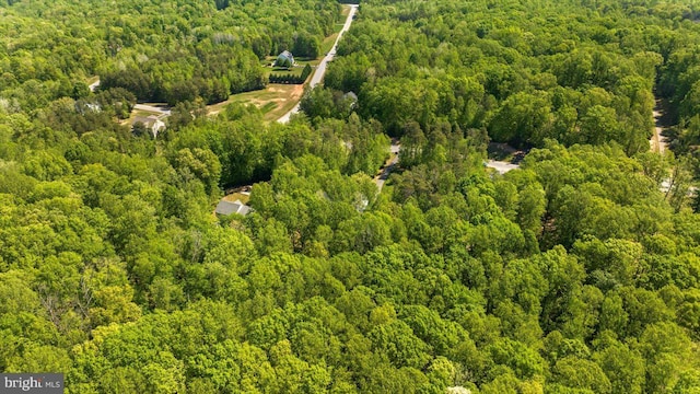 bird's eye view with a view of trees