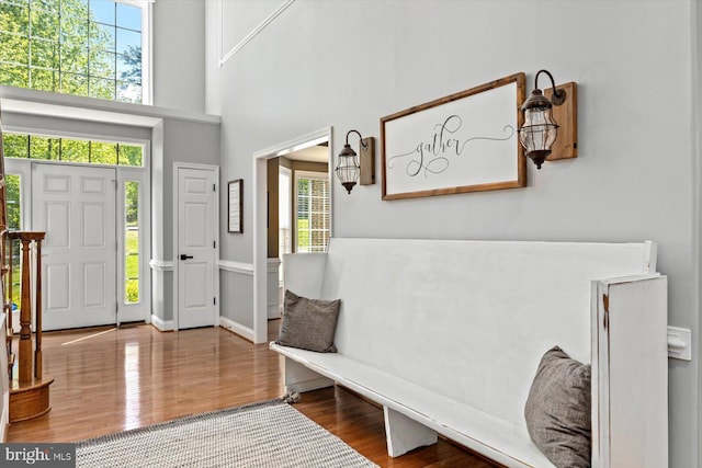 foyer with a high ceiling, plenty of natural light, and wood finished floors