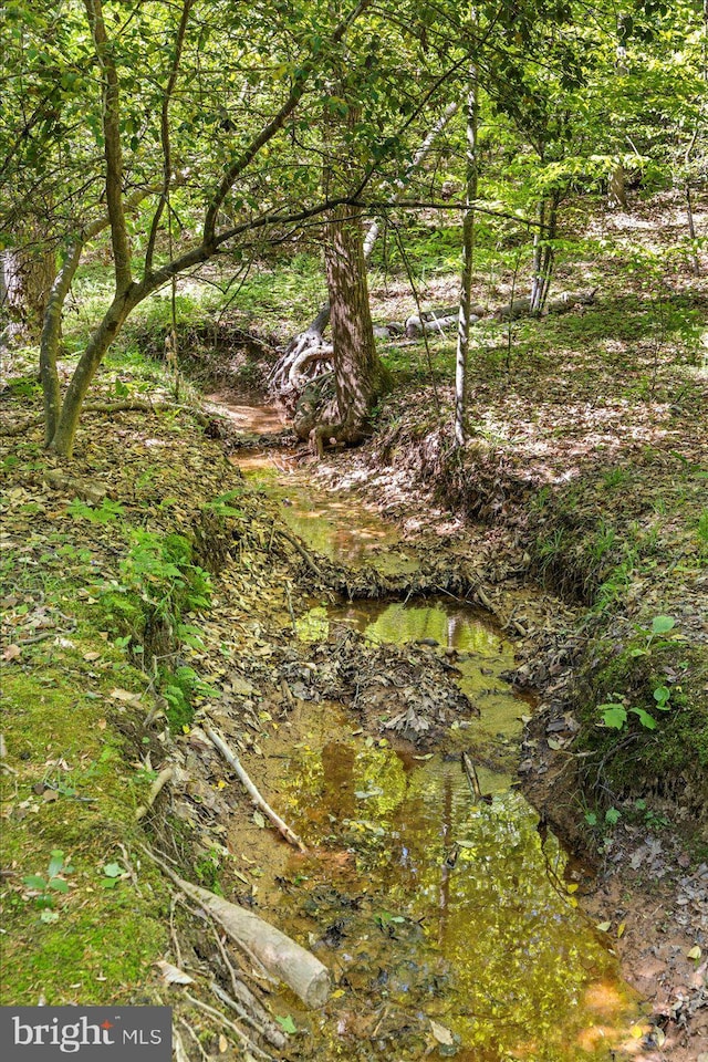 view of nature