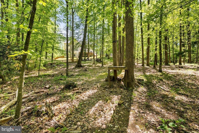 view of local wilderness